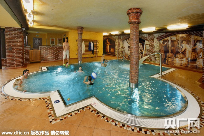Bể bơi trong nhà được thiết kế rất ấn tượng, hình dạng độc đáo và lát đá sang trọng.
