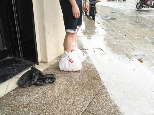 Gì chứ, đôi giày mới mua là phải ưu tiên hàng đầu.