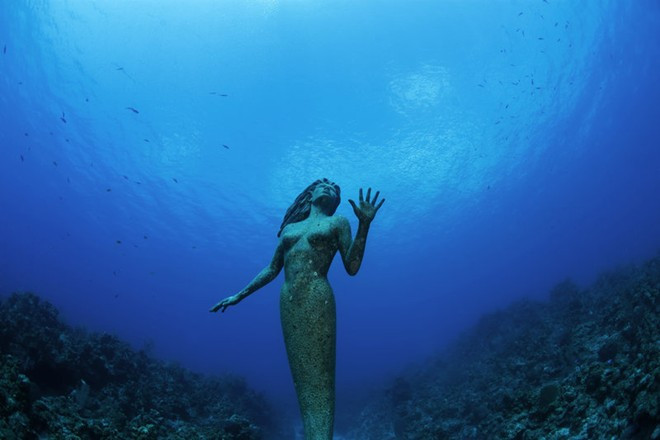 Tượng nữ thần Amphitrite, đảo Grand Cayman: Bức tượng nữ thần biển nặng 272 kg này nằm cách bờ 50 m, ở mũi tây nam của hòn đảo. Du khách có thể lặn xuống độ sâu 15 m và ngắm nhìn bức tượng lạ kỳ có dạng nàng tiên cá này. Ảnh: Justin Lewis.
