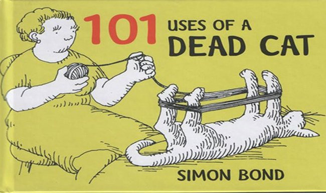 Cuốn sách kỳ quặc có tên "101 cách sử dụng...mèo chết" sẽ khiến bạn sởn da gà.