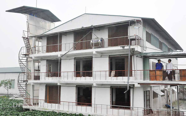 Với hơn 2ha đất, ông Long đã tận dụng triệt để diện tích để nuôi lợn bằng cách xây chuồng lợn cao tầng, vận chuyển lợn lên xuống bằng thang máy. Đến nay, trang trại nuôi lợn độc nhất vô nhị của ông mỗi năm xuất bán 600-800 tấn thịt lợn thương phẩm.