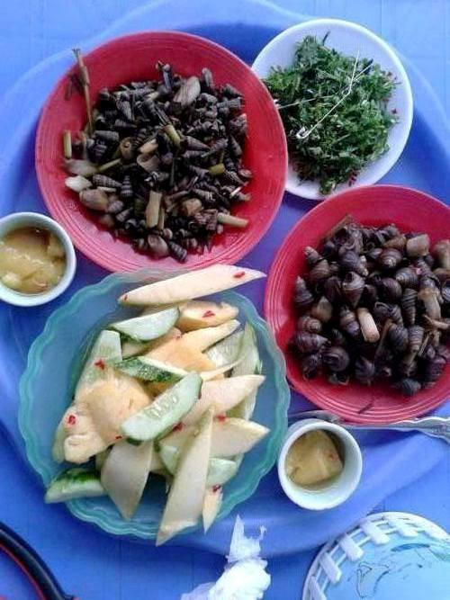 Ốc mút chùa Thanh Hà. Chùa Thanh Hà, phố Bến Ngự là địa chỉ quen của những thực khách trót mê mẩn món ốc mút và các món từ ốc. Vị đậm đà của ốc được tẩm ướp gia vị kỹ lưỡng cùng mùi sả ớt thơm nức mũi sẽ là một trải nghiệm khó quên với những ai mới thưởng thức lần đầu. Vị cay nồng đằm đằm của món ăn sẽ khiến bạn bị “xúc động” đôi chút. Về quê Thanh du khách đừng bỏ lỡ cơ hội thưởng thức món ăn dân dã này.