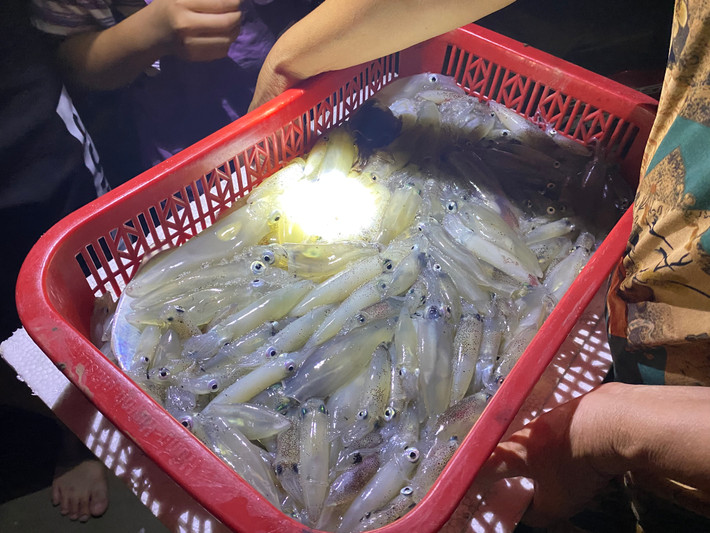 Những rổ mực tươi ngon vừa cập bờ là được thương lái và người dân thu mua ngay tại bãi biển.
