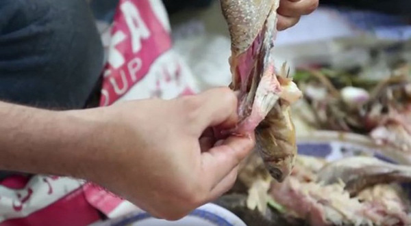 Hương vị của cá đối ủ muối thực sự khó diễn tả. Một số người vừa ăn vừa bịt mũi cũng không thể chịu được. Đây cũng là lý do khiến Fesikh hiếm khi thấy trong thực đơn của các nhà hàng.