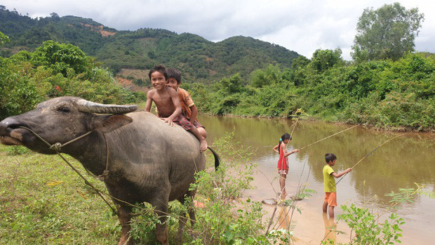 Chính vì những lí do đó, anh và vợ mình, chị Bùi Thúy (30 tuổi), đã đưa ra một quyết định lớn - đó là khởi hành chuyến đi "vô gia cư" của gia đình với cậu con trai gần 5 tuổi, cô con gái 2 tuổi rưỡi và một chú chó.