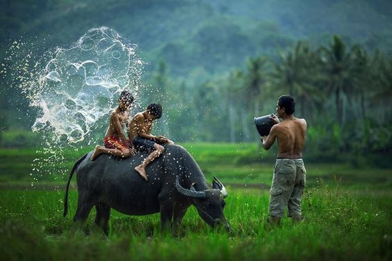 Vận đào hoa đầu tháng 4 cũng rơi trúng con giáp này, giúp họ tìm được đối tượng thích hợp.