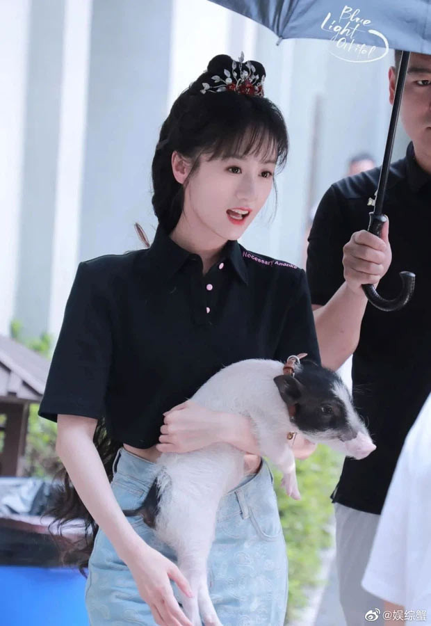 Mới đây Mỹ nhân Cbiz Viên Băng Nghiên trở thành đề tài tranh cãi trên mạng xã hội khi để lạc mất thú cưng là chú lợn tên Thẩm Ngạo Ngạo, khi đưa lợn đi ăn ở nhà hàng.