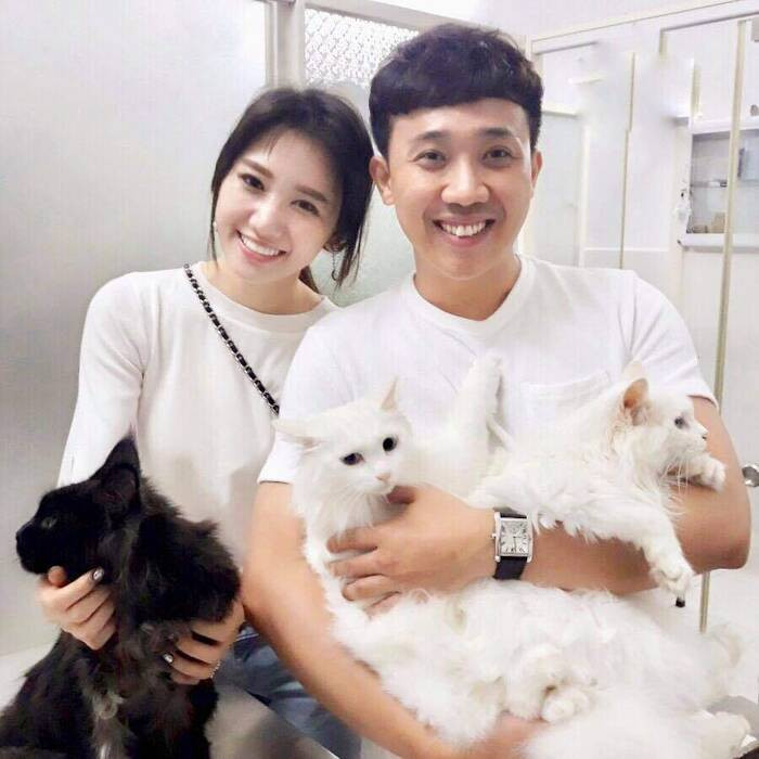 Vợ chồng Trấn Thành có cùng niềm đam mê nuôi mèo.