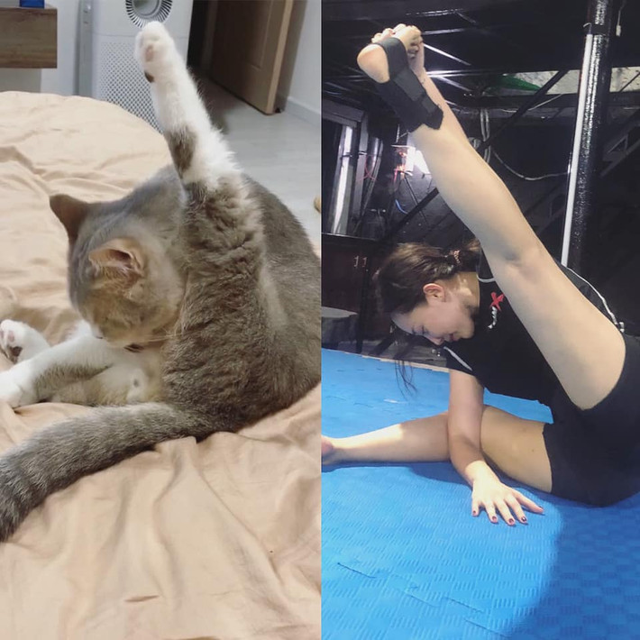 Nữ ca sĩ còn phải "gật gù" thừa nhận tư thế của mình giống chú mèo đến ngỡ ngàng.