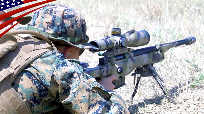 Khẩu AWM là một trong những khẩu súng bắn tỉa hiện đại, được chứng minh là tốt nhất trên thế giới; đây cũng là khẩu súng lập kỷ lục thế giới trong thực tế chiến đấu; năm 2009, xạ thủ Craig Harrison của Quân đội Anh, sử dụng đạn .338 Lapua Magnum, đã tiêu diệt hai chiến binh Taliban, ở cự ly 2.475 mét.