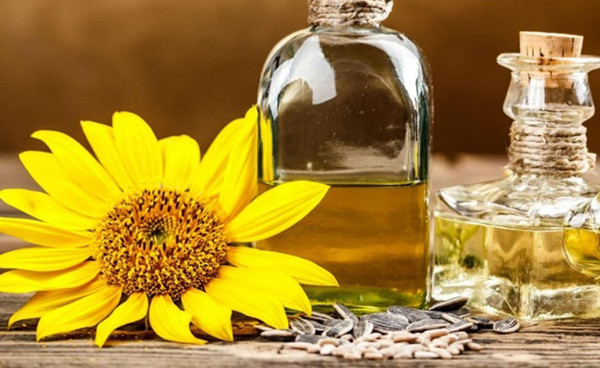 Mẹo dưỡng da tay bằng yến mạch, dầu hướng dương. Dầu hướng dương từng được chứng minh mang lại khả năng dưỡng ẩm, trẻ hóa làn da khô và nứt nẻ.