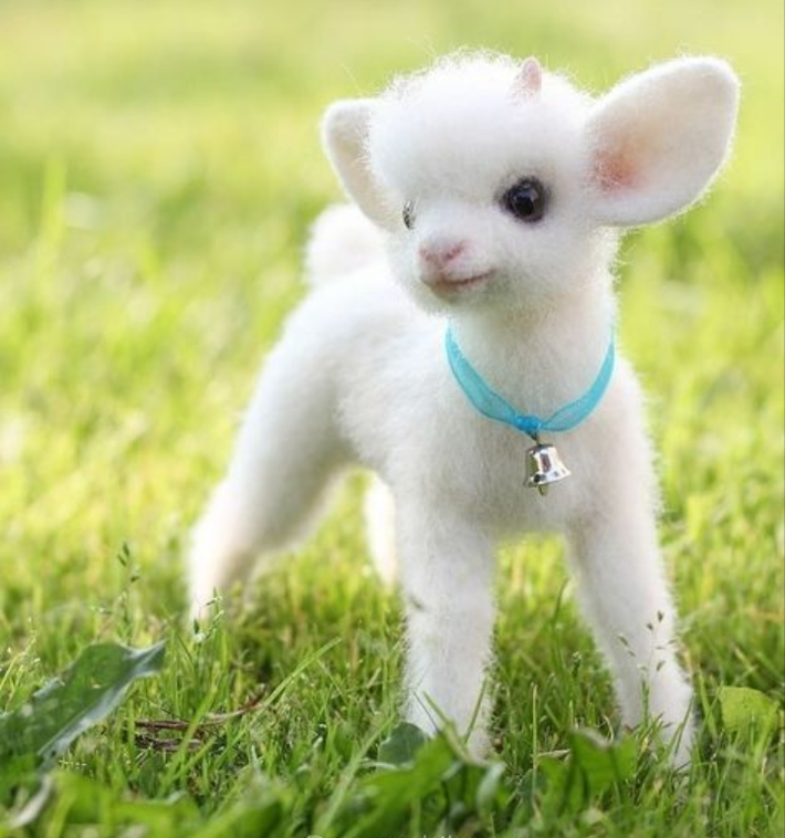 Tuổi Mùi nên rõ ràng phần công việc mình phải chịu trách nhiệm, từ đó có thể giải quyết nhẹ nhàng. Hôm nay con giáp có nhiều cơ hội kiếm thêm tiền, chỉ cần bạn chủ động.