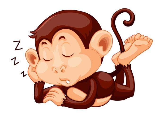 Tuổi Thân có thể tập vài động tác thể dục để loại bỏ cảm giác trì trệ khi làm việc. Hôm nay con giáp có thể ký được hợp đồng làm ăn mang về nhiều tài lộc, hãy khéo léo và tỉnh táo xem xét kỹ các điều khoản.