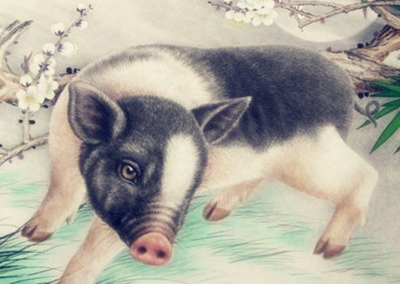 Tuổi Hợi hãy gạt bỏ cảm giác lười biếng bằng cách chủ động tiếp xúc với đồng nghiệp. Nói chuyện, học hỏi nhiều người sẽ mở ra cơ hội hợp tác vui vẻ và nhiều lợi lộc cho con giáp. (*Thông tin chỉ mang tính chất chiêm nghiệm, trắc nghiệm vui).