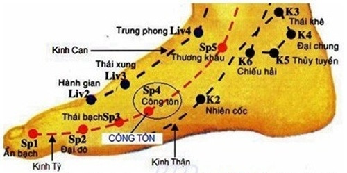 Bấm huyệt công tôn: Huyệt này nằm ở nơi tiếp nối của thân và đầu sau xương bàn chân. Tiếp giáp gan bàn chân và mu chân. Từ đỉnh cao nhất của xương mu bàn chân kéo xuống ngay dưới lõm xương. Đây là huyệt có công dụng điều hòa khí huyết và hỗ trợ tì vị và giải phóng các chất béo trong cơ thể. Ảnh: Zingnews.