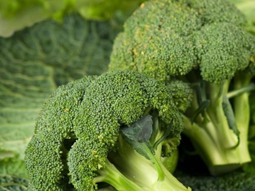 Bông cải xanh. Hội Ung thư Quốc gia Hoa Kỳ gần đây đã chỉ ra rằng ăn súp lơ xanh và các thực phẩm họ cải khác có thể làm giảm nguy cơ ung thư tuyến tụy.