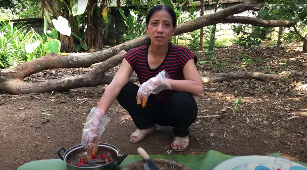 Tuy nhiên, dân mạng lại cho rằng Bà Lý làm video với nội dung không hề mới mẻ, trái lại còn sao chép y chang các clip của Bà Tân Vlog, thậm chí bà Lý còn đọc lại những câu giới thiệu giống bà Tân.
