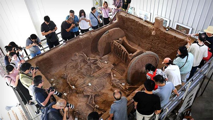 Đây cũng là cỗ xe hoàng gia sang trọng nhất từ thời Tây Chu được khai quật cho đến nay.