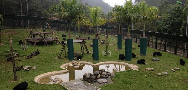 Với quy mô 12 héc-ta, hiện tại đây là ngôi nhà trọn đời của 185 cá thể gấu, trong đó có 12 cá thể gấu chó, còn lại là gấu ngựa.
