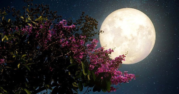 Bạn cần chọn một khu vực quang đãng, có tầm nhìn xa. Thời điểm ngắm Mặt trăng to và có màu sắc đẹp hơn cả là ngay từ lúc mới mọc.