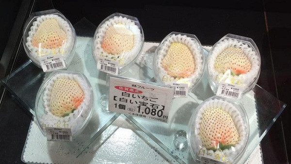 Đây là giống dâu đến từ Nhật Bản, còn có tên gọi khác là dâu Shiroi Houseki - hay dâu "bạch ngọc" (White Jewel).