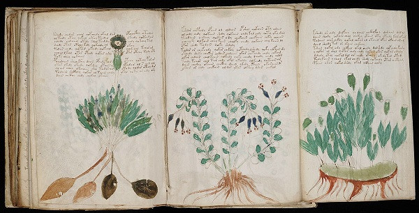 Bản thảo chữ viết tay Voynich vẫn còn là một bí ẩn khoa học cho đến ngày nay với nhiều giả thuyết về ngôn ngữ được sử dụng. Trong năm 2014, hai nhóm nghiên cứu khác nhau đã cố gắng giải đáp bí ẩn này, tranh cãi liệu đó là một phương ngữ của người Mexico đã tuyệt chủng, hay một ngôn ngữ châu Á đã được mã hóa.