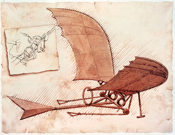 Leonardo da Vinci vẽ phác thảo cỗ máy biết bay dựa theo kiến thức giải phẫu học của loài chim và dơi. Đặc điểm nổi bật nhất trong thiết kế là đôi cánh khổng lồ kết nối với một khung gỗ. Tuy nhiên, ông cũng không trực tiếp chế tạo thiết bị nói trên.
