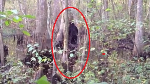 Josh Highcliff là một trong những thợ săn không may mắn bắt gặp quái vật Bigfoot khi đi săn trong tư gia của mình vào năm 2013. Vì quá sợ hãi, anh đã đăng tải đoạn phim lên YouTube để yêu cầu nhận dạng sinh vật này.