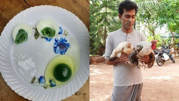 Tuy nhiên, trang Odditycentral đưa tin, Ak Shihabudheen - một nông dân đến từ Malappuram, bang Kerala, Ấn Độ đã xác nhận chính đàn gà trong trang trại của mình đẻ ra những quả trứng màu xanh kỳ dị ấy.