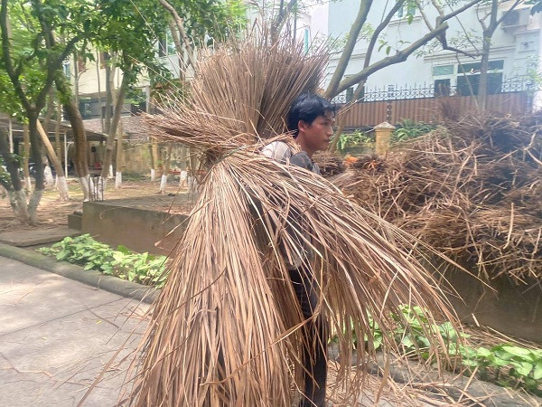 Theo đó, đội thợ sẽ tiến hành tháo dỡ, sửa mái, sàn trần, lợp nhà, vá tường đất và sửa lại hàng rào vườn rau ngôi nhà Hà Nhì giữa lòng Hà Nội…