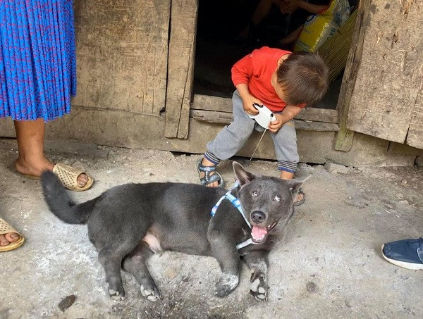 Sự thay đổi lớn nhất có lẽ là ngoại hình của Dúi. Chú chó chân ngắn lũn chũn ngày nào giờ đã thành một "anh chàng'' có đôi chân dài, mõm dài hơn và thân hình cũng rắn rỏi hơn.