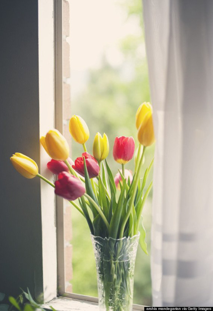 Hãy biết tận dụng những luồng gió mát tự nhiên vào buổi tối để giúp không khí trong căn phòng của bạn được lưu thông. Do đó không phải lúc nào đóng cửa cũng tốt, hãy đảm bảo không khí có thể lưu thông bằng cách mở các cánh cửa đối diện nhau.