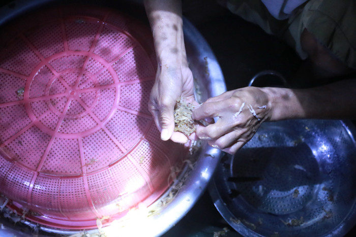 Để săn vờ vờ, thuyền máy chỉ cần trang bị một lưới vợt ở trước mũi thuyền và chạy qua lại để bắt.
