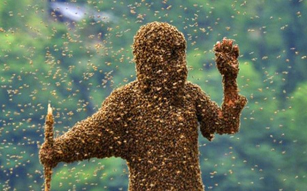 Ví dụ như ném vào bên trong xe tăng, cho ong vào một ống bằng gỗ và sau đó thổi bay chúng vào kẻ thù hay nuôi ong trực tiếp trong các bức tường của pháo đài. Trong thời bình, những con ong bình thường sẽ đi thu thập mật và trong trường hợp bị bao vây thì chúng sẽ tấn công kẻ thù để bảo vệ pháo đài.