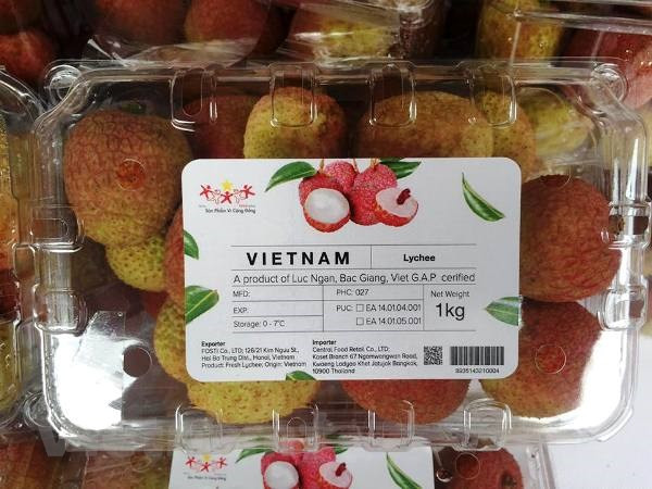 Với các thị trường Trung Quốc, Australia, Mỹ… việc xuất khẩu vải thuận lợi nhờ đã có sự chuẩn bị và tiếp cận từ nhiều năm qua. Nhờ ứng dụng những cải tiến về công nghệ, việc bảo quản quả vải tươi có thể kéo dài đến 35 ngày, thuận lợi cho việc xuất khẩu bằng đường biển.