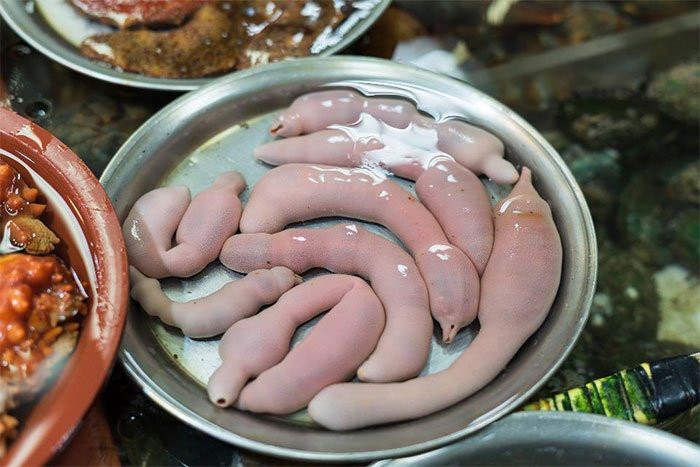 Giun thìa biển còn có tên là cá dương vật sống tập trung ở vùng biển phía bắc Nhật Bản, Hàn Quốc. Cá dương vật có hình dáng vô cùng độc đáo và đặc biệt như chính tên gọi của mình. Chúng xuất hiện cách đây khoảng 300 triệu năm và có thể sống tới 25 năm, ăn vi khuẩn, sinh vật phù du trong nước biển. Người Hàn Quốc gọi loại hải sản là Gaebul. Món ăn được bảo quản tươi sống đến khi chế biến để giữ độ ngon.