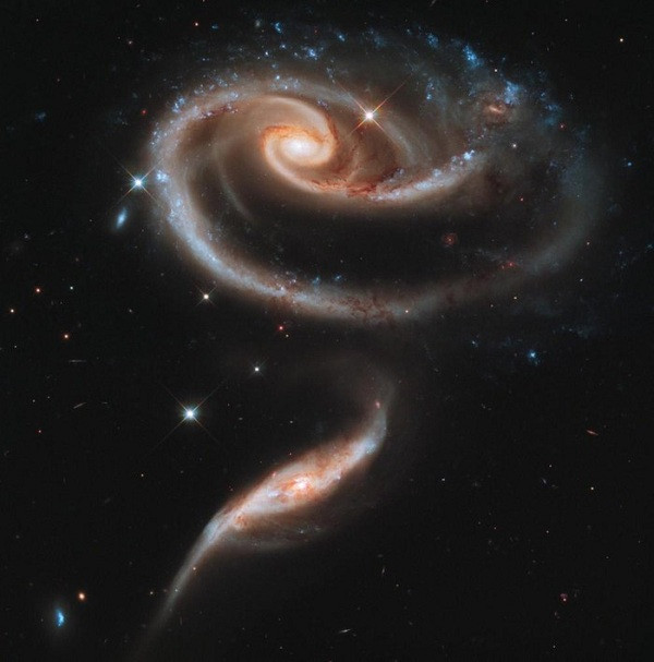Một trong những kỳ quan vũ trụ đẹp nhất: Bông hồng của các thiên hà (Rose of Galaxies). Đây được cho là kết quả từ vụ va chạm của 4 cụm thiên hà.