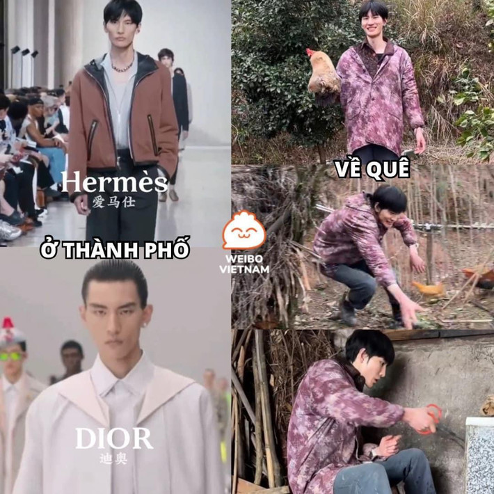 Ở thành phố thì trình diễn thời trang cho các nhãn hàng xa xỉ, về quê cũng phải bắt gà và vặt lông gà như 1 người nông dân thôi.