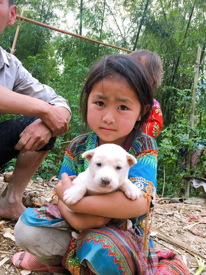Nhìn thấy bé gái thiết tha quá, chó lại đẹp, đuôi cộc tịt lại có màu trắng bạch tạng, anh Lý Ngọc khó nghĩ. Thế nhưng vẫn quyết định mua, nhưng trả tiền rồi để cháu bé nuôi là chính, sẽ hỗ trợ thuốc men, tiêm phòng cho chú chó.