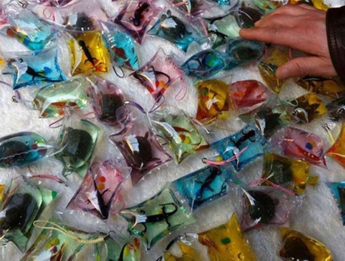 Dân mạng phản đối gay gắt trào lưu phản cảm này, khẳng định đây là hành vi vô nhân đạo.