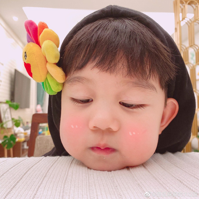 Mới chỉ có 3 tuổi nhưng Q Bảo đã sở hữu một fanclub vô cùng hùng hậu, người lớn cũng phải ghen tỵ.