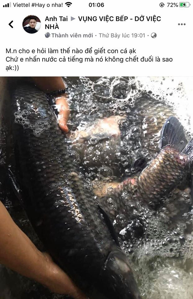 Việc nấu nướng, dọn dẹp của nhiều người đôi khi thất bại, không được như mong muốn khiến họ mất tự tin. Thế nhưng, nhờ vào những bức ảnh khoe sự vụng về, nhiều người có không gian sống thật với bản thân, có nơi để chia sẻ những hình ảnh thật tại chính căn nhà của mình. Những chia sẻ thật ấy khiến cư dân mạng phải bật cười vì hài hước.