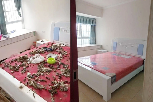 Quá sợ hãi, cô gái 9X trốn trong nhà vệ sinh không chịu ra ngoài, phải đến khi cảnh sát nhờ đến sự giúp đỡ của người thân, bạn bè thuyết phục, Wang mới chịu bước ra sau 2 tiếng đồng hồ cố thủ. Sau khi ra ngoài, cô gái này cũng không chịu mở miệng giải thích hay xin lỗi chủ nhà một lời nào.