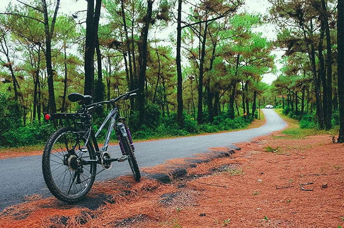 Không mất nhiều thời gian tìm hiểu, địa điểm đẹp như mơ trong "Mắt biếc" chính là đồi Thiên An, Huế. Nơi đây được ví như Đà Lạt của xứ cố đô.