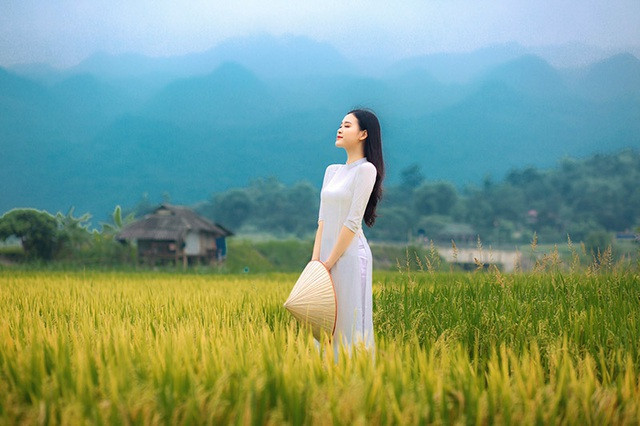 Trong bộ ảnh, Thảo Vi gây ấn tượng bởi nhan sắc trong trẻo, dịu dàng. Mái tóc đen nhánh cùng tà áo dài trắng nổi bật lên giữa khung cảnh đồng ruộng và núi non.