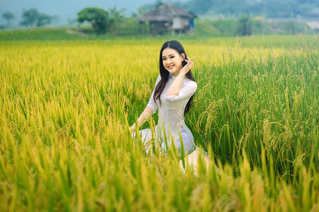 Mới đây, nàng á khôi tung ra bộ ảnh khoe sắc cực kỳ xinh đẹp bên đồng lúa chín vàng thu hút sự quan tâm của cộng đồng mạng.