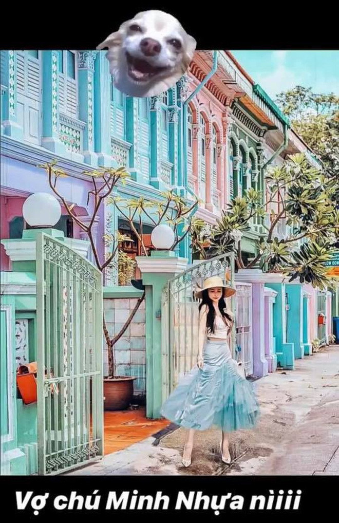 Dù tất cả những địa điểm này, Mina Phạm có thừa kinh tế để đến, hoặc cũng có thể cô đã có mặt ở nơi này rồi nhưng không biết lý do vì sao vẫn hành động như vậy.