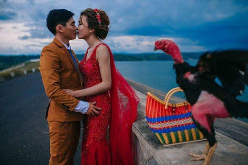 Ảnh cưới tạo dáng thế nào, ở đâu không quan trọng, quan trọng là phải có sự góp mặt của chú gà cưng.