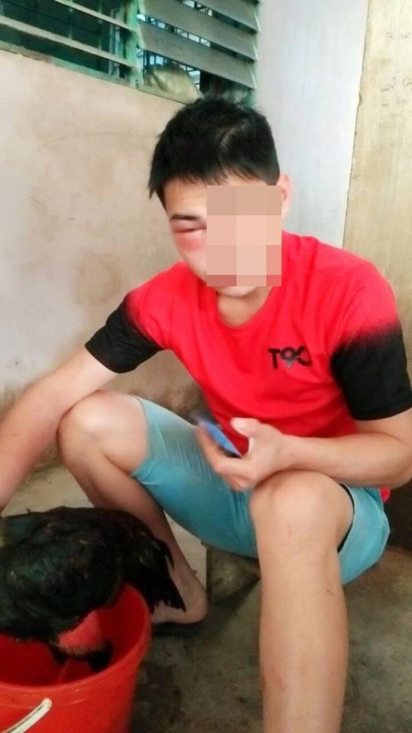 Trước đó, trên mạng xã hội từng xuất hiện rất nhiều câu chuyện dở khóc dở cười của hội thanh niên đam mê gà chọi, yêu gà hơn vợ và kết cục đắng ngắt.