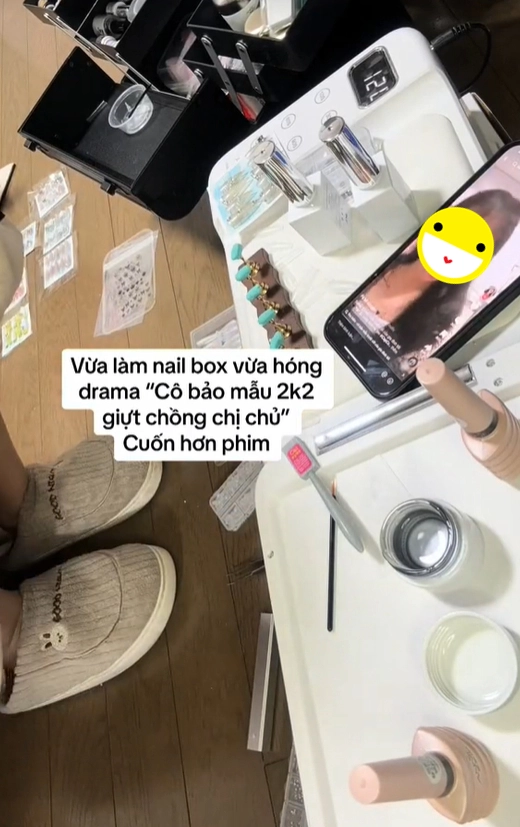 Theo như câu chuyện của Tiktoker P kể, thì cô bảo mẫu sinh năm 2002, ban đầu được thuê để làm bảo mẫu cho gia đình em gái cô, được mọi người trong gia đình rất quý mến. Cô này có nhiệm vụ đón các bé sau khi tan học và trông đến tối, khi bố mẹ đi làm về. Tuy nhiên, cô bảo mẫu này không chỉ muốn trông coi con của chủ nhà, mà còn muốn trông coi "chồng của người ta", khi người vợ phát hiện ra chồng mình ngoại tình với chính cô bảo mẫu.